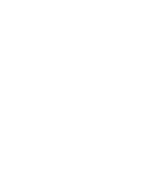 ASCII art cat